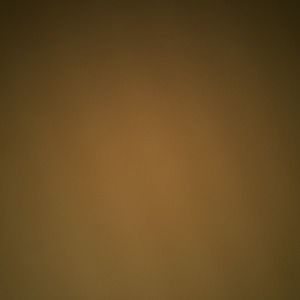 Meet your Posher, Diego